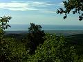 castagneto 103a